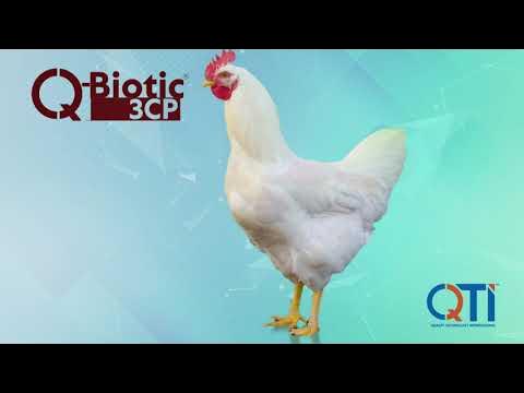Giới thiệu về Qbiotic và đối tác Nhật Bản